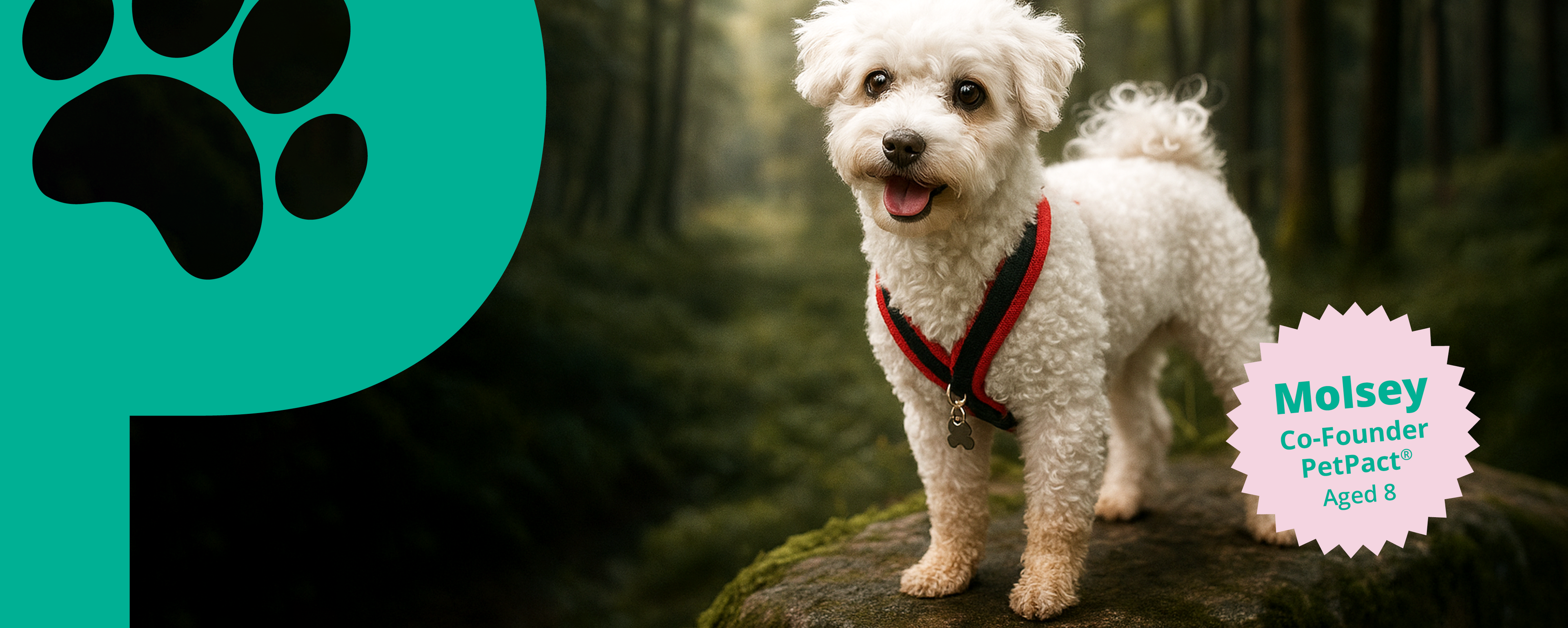 Small white dog on a log with a green paw print logo and with her name Molsey on the label