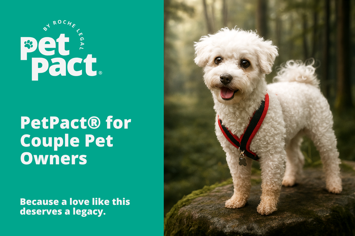 PetPact® for Couple Pet Owners