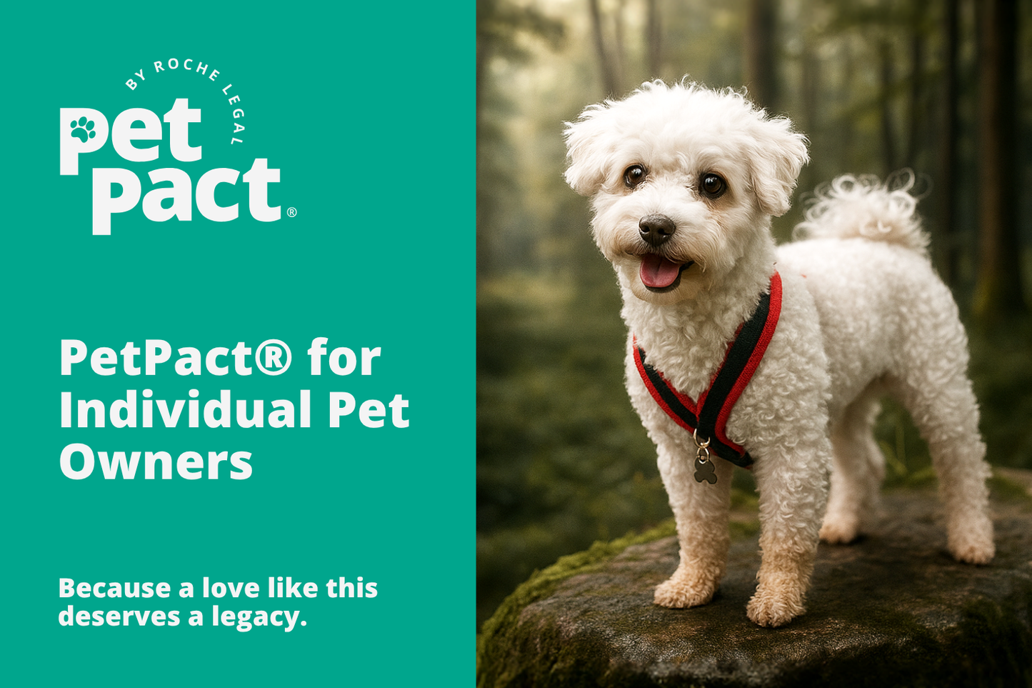 PetPact® for Individual Pet Owners